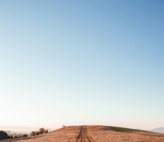 강서구, 해빙기 안전사고 예방 위한 취약시설 안전점검 실시