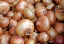 정부, 5월 중 배추·당근 등 7종 ‘할당관세 0%’ 적용 white garlic on brown wooden table