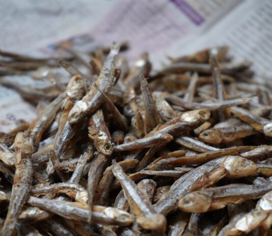 근육 감소증 예방을 위한 운동법 a pile of dried fish sitting on top of a newspaper