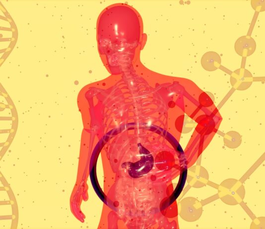 “아무 이유 없이 소화가 안 돼요”…초여름 ‘위장 기능’ 저하 주의보 a picture of a human body with a diagram of the human body