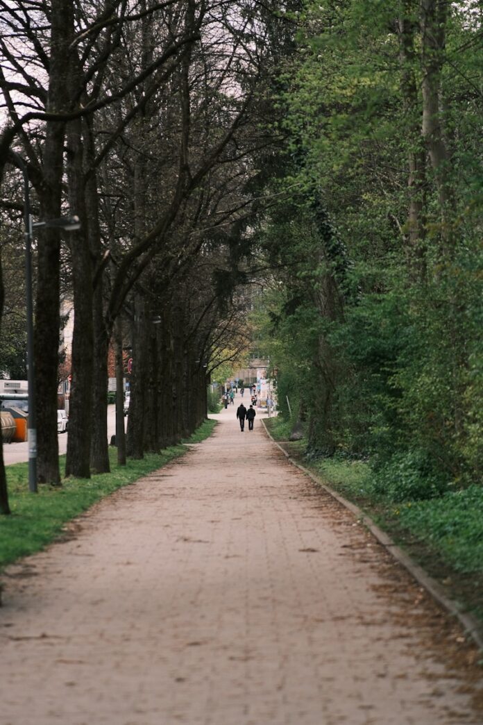 Photo by Nk Ni a couple of people walking down a dirt road