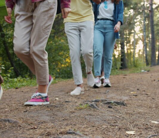 늘어나는 ‘걷기 챌린지’, 꾸준함이 만드는 건강한 변화 Group of people walking on a forest path