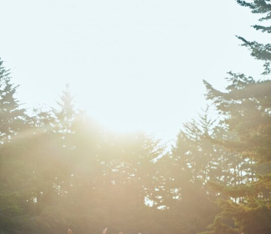 아침의 태양: 당신의 하루를 깨우는 12가지 움직임의 과학 group of people raising their hands