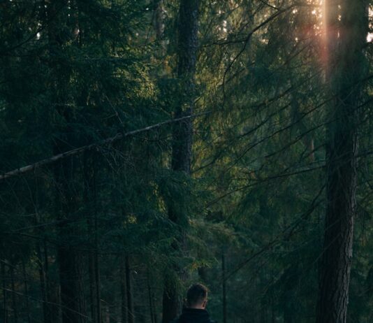 일상 속 ‘마음 챙김 걷기’, 건강과 힐링을 동시에 man walking near trees