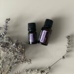 “나만의 건강한 헤어 루틴: 요즘 뜨는 생활 속 헤어 케어 트렌드” two bottles of essential oils sitting next to a plant
